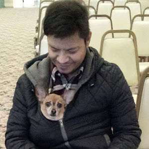 Meet your Posher, Henry